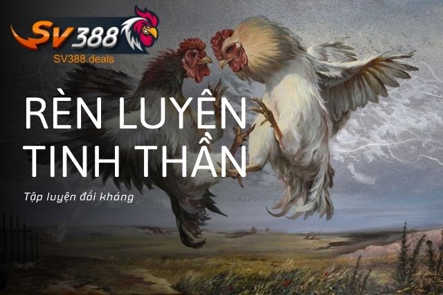 Tập luyện đối kháng