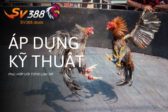 Áp dụng kỹ thuật phù hợp với từng loại gà